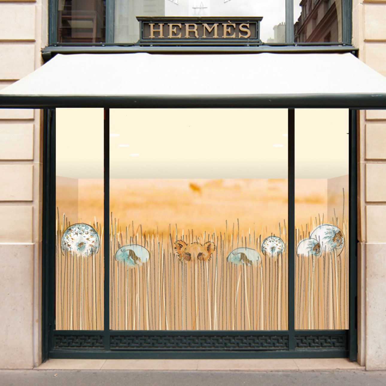 Hermès - Savannah
